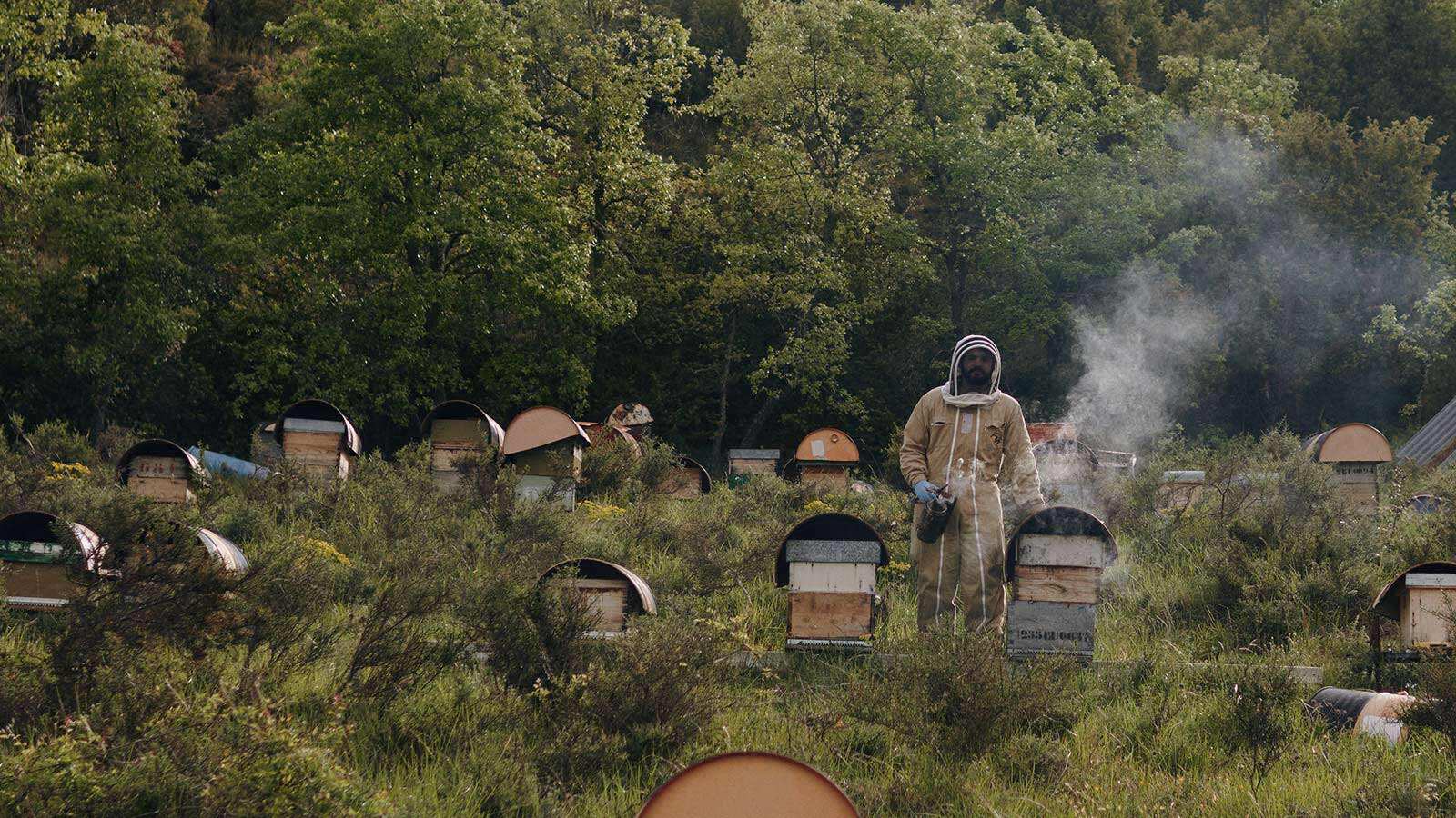 Man wearing safety suit doing bee farming